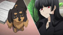 Скриншот Пёс и ножницы / Inu to Hasami wa Tsukaiyou