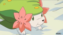 Скриншот Покемон: Алмаз и жемчуг — Гиратина и небесный букет Шейми / Pokemon Diamond & Pearl: Giratina to Sora no Hanataba Sheimi