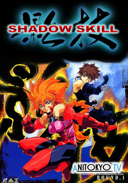 Постер Искусство тени OVA-2 / Shadow Skill 2