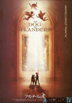Постер Фландрийский пёс / Flanders no Inu (Movie)