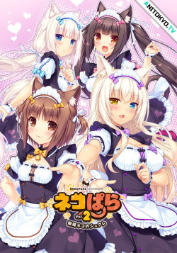 Постер Кошачий рай: Обещания кошек / Nekopara: Koneko no Hi no Yakusoku