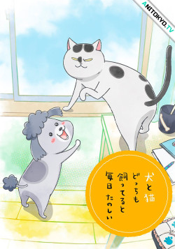 Постер Весёлые дни с кошкой и собакой / Inu to Neko Docchi mo Katteru to Mainichi Tanoshii