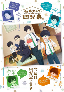 Постер Четверо братьев Юдзуки / Yuzuki-san Chi no Yon Kyoudai