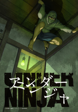 Постер Низкоквалифицированный ниндзя / Under Ninja