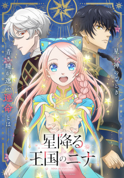 Постер Нина в королевстве звёзд / Hoshifuru Oukoku no Nina